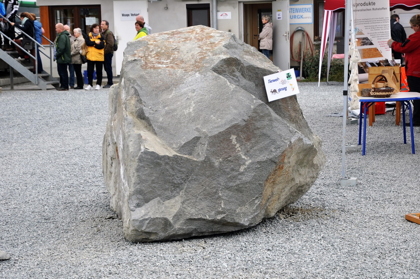 Diabas-Gestein-des-Jahres-2017-Hartsteinwerke-Burgk 0002