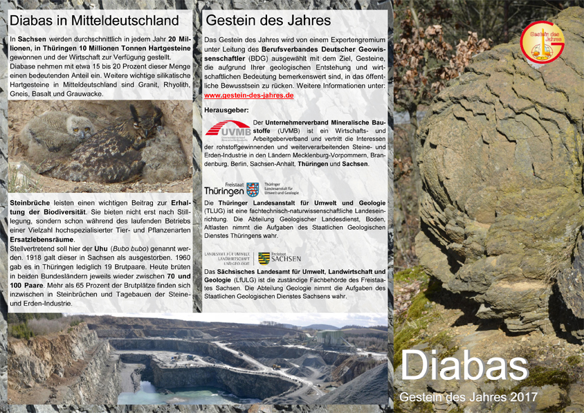 Flyer-Gestein-des-Jahres-2017---Diabas-1